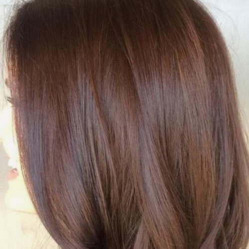 Rich Chocolate Brown Hair Color