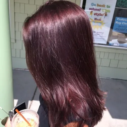 Mahogany Hair
