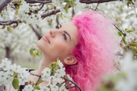 artic fox pink hair dye