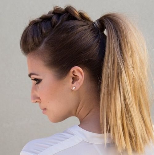 Dutch Braid Faux