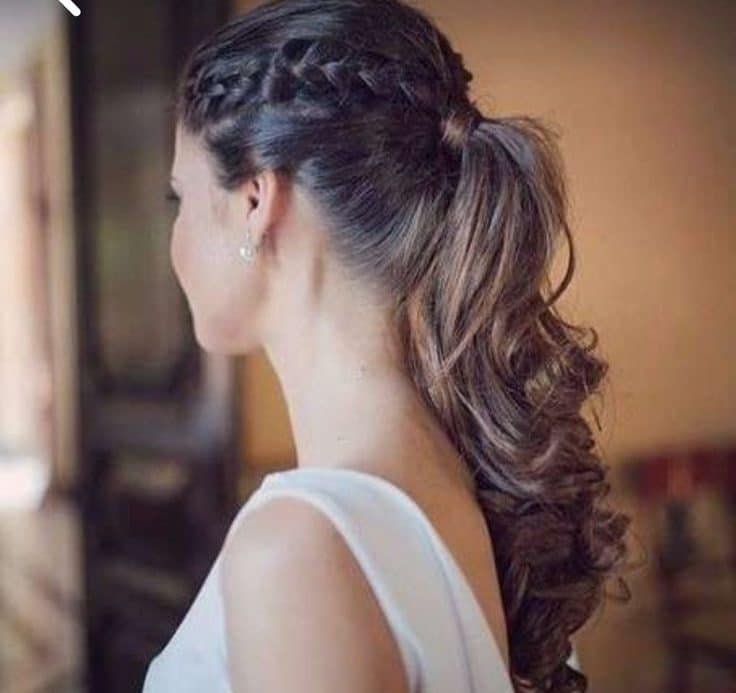 Sleek Brade Pony