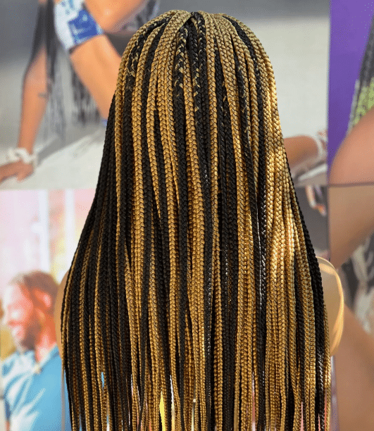 Mixed Color Box Braids