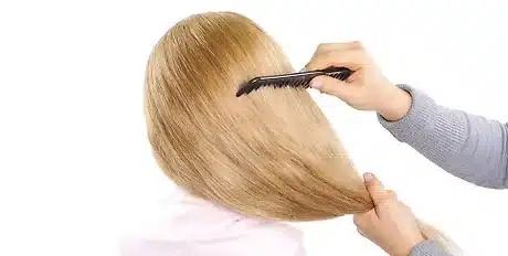 French Twist Hair Step 1
